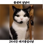 콜센터 냥 - DogDrip.Net 개드립