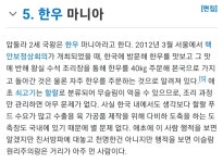 의외로 한우 매니아인 사람.jpg - DogDrip.Net 개드립