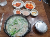 오늘만 쓸수있는 치트키 - DogDrip.Net 개드립