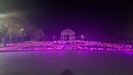 nf쏘나타로 서울에서 경주까지 4 - DogDrip.Net 개드립