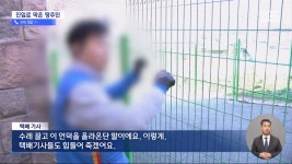 내 땅 쓰지 마‥빌라 입구에 울타리 설치한 땅주인 - DogDrip.Net 개드립
