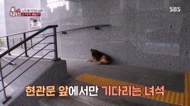 [스압] 동굴농장-야쿠르트 아줌마 껌딱지 재키 - DogDrip.Net 개드립