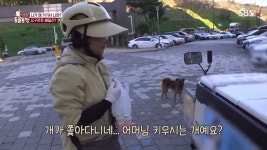 [스압] 동굴농장-야쿠르트 아줌마 껌딱지 재키 - DogDrip.Net 개드립