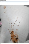 실시간 좆된 개붕이 보고를 본 시각.jpg - DogDrip.Net 개드립