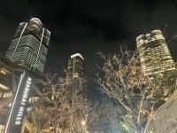 현재 도쿄 최고의 부촌 - DogDrip.Net 개드립