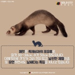 서귀포쪽 사는 개붕이들한테 질문 - DogDrip.Net 개드립