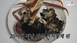 대게사건때 수산시장 옹호한다고 욕먹은분 - DogDrip.Net 개드립