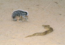 우람이 - DogDrip.Net 개드립