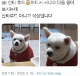 싱글벙글 강아지 산타 후드 복장.webp - DogDrip.Net 개드립