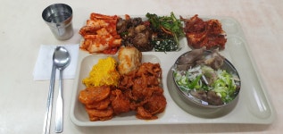 좆소밥 - DogDrip.Net 개드립