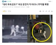 대리 부르셨죠? 여성 운전자 차 타더니 무차별 폭행 - DogDrip.Net 개드립
