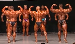 보디빌딩의 르네상스 시대 90년대 가장 치열했던 보디빌더들 part2 - DogDrip.Net 개드립