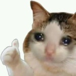 ㅇㅎ) 웃음참기 챌린지.jpg - DogDrip.Net 개드립