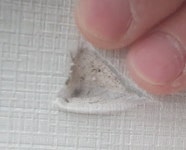 도배 잘아시는분? - DogDrip.Net 개드립