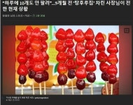 어째보면 운이좋았던 유튜버 - DogDrip.Net 개드립