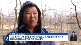 과일🍎값 올라도 돈 못 벌어…왜곡된 유통 구조 - DogDrip.Net 개드립