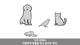 대한민국 상병장 vs 멧돼지+고라니  - DogDrip.Net 개드립