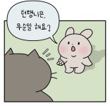 어린이들의 순수함.... - DogDrip.Net 개드립