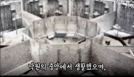 [스압] 쥐의 낙원 실험..jpg - DogDrip.Net 개드립