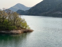 충주 5번 이상 다녀와서 남기는 글 - DogDrip.Net 개드립