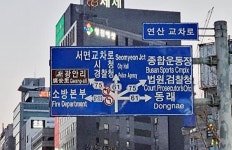 이방인은 멘붕 온다는 교차로.jpg - DogDrip.Net 개드립
