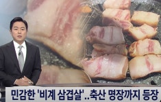 비계 삼겹살에 축산명장까지 등장 - DogDrip.Net 개드립