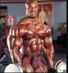 헬스장 처음가면 상상과 현실.jpg - DogDrip.Net 개드립