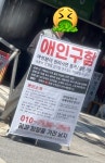 꿈과 희망을 가진 남자, 애인 구함 - DogDrip.Net 개드립