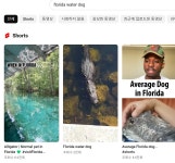 플로리다 워터도그 ㄷㄷ - DogDrip.Net 개드립