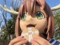 사슴아이 어슬렁어슬렁 호시탐탐 - DogDrip.Net 개드립