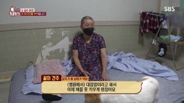 [스압] 동물농장- 우리 꿀이를 부탁합니다 - DogDrip.Net 개드립