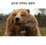 귀여움) 곰으로 시작하는 일본어 - DogDrip.Net 개드립