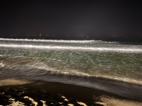 밤바다 특징) - DogDrip.Net 개드립