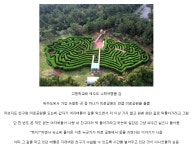 제주도 미로공원의 전설 - DogDrip.Net 개드립