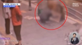 🐴)시청역 피해자 모욕으로 입건된 40대 또 모욕 글 남겨 - DogDrip.Net 개드립