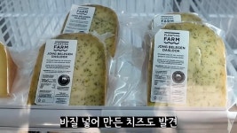 스압) 네덜란드🇳🇱에는 물 위에 떠있는 농장이 있다? - DogDrip.Net 개드립