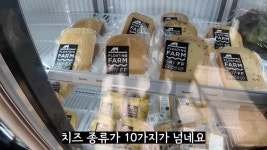 스압) 네덜란드🇳🇱에는 물 위에 떠있는 농장이 있다? - DogDrip.Net 개드립