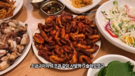 인생 쭈꾸미집 - DogDrip.Net 개드립