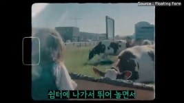 스압) 네덜란드🇳🇱에는 물 위에 떠있는 농장이 있다? - DogDrip.Net 개드립