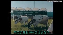 스압) 네덜란드🇳🇱에는 물 위에 떠있는 농장이 있다? - DogDrip.Net 개드립