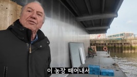 스압) 네덜란드🇳🇱에는 물 위에 떠있는 농장이 있다? - DogDrip.Net 개드립