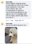 옥구 지구대 댕댕 옥도리 - DogDrip.Net 개드립