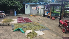 마당이 있는 시골집 특징.jpg - DogDrip.Net 개드립