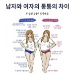 돼지와 통통의 차이 - DogDrip.Net 개드립