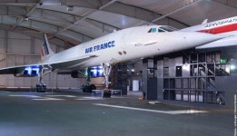 콩코드 근황 - DogDrip.Net 개드립