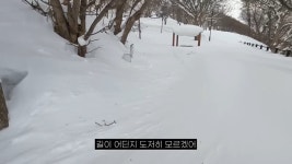 의외로 깝치면 안되는거 - DogDrip.Net 개드립