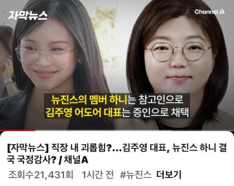 뉴진스 하니 국감 출격 - DogDrip.Net 개드립