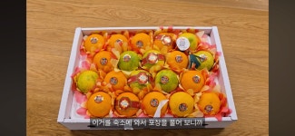 제주 동문시장 근황 ㄷㄷㄷ;;; - DogDrip.Net 개드립