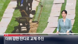 [단독] 더위에 강한 난지형 잔디로 교체 추진 - DogDrip.Net 개드립 [단독]  더위에 강한 난지형 잔디로 교체 추진 - DogDrip.Net 개드립