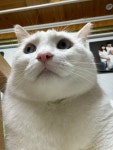 동물농장이 되버린 우리집 - DogDrip.Net 개드립